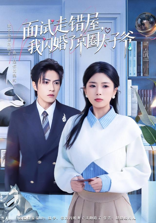 面试走错屋，我闪婚了京圈太子爷}