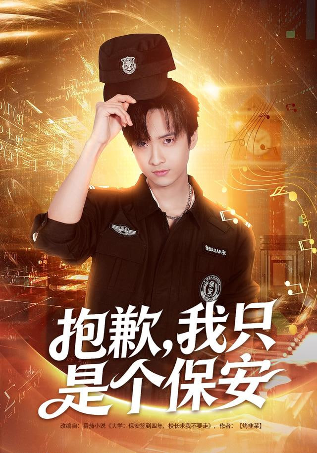 抱歉，我只是个保安}