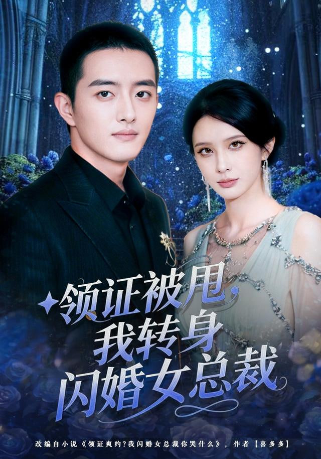 领证被甩，我转身闪婚女总裁}