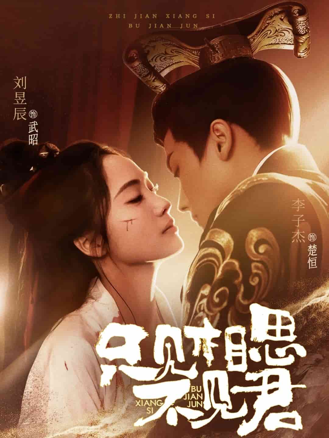 只见相思不见君}