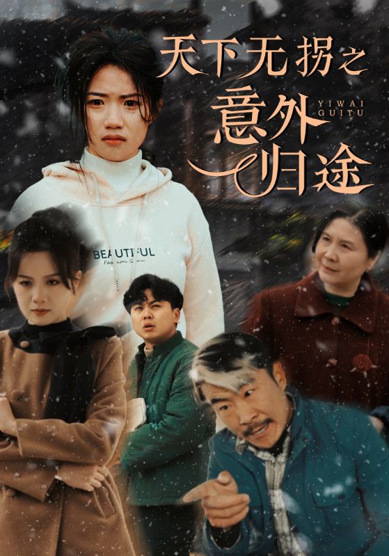 天下无拐之意外归途}