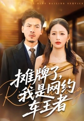 摊牌了，我是网约车王者}