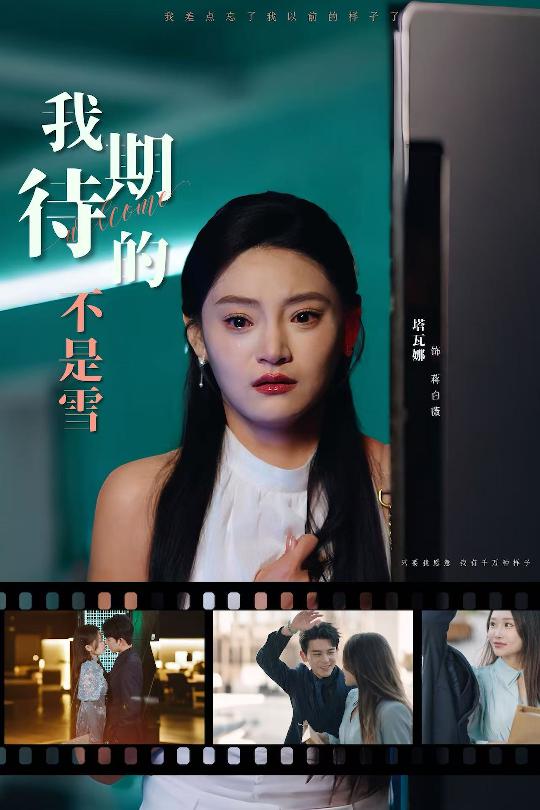 我期待的不是雪}