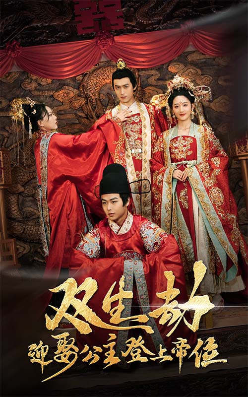 双生劫迎娶公主登上帝位}