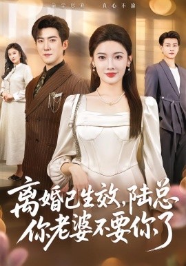 离婚已生效，陆总你老婆不要你了}