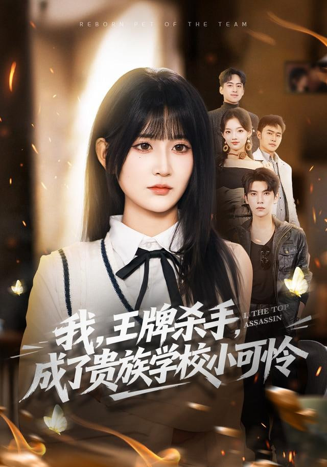 我，王牌杀手，成了贵族学校小可怜（我王牌杀手成了贵族学校小可怜）}