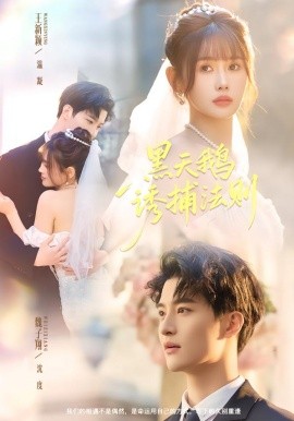 黑天鹅诱捕法册}