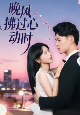 晚风拂过心动时}