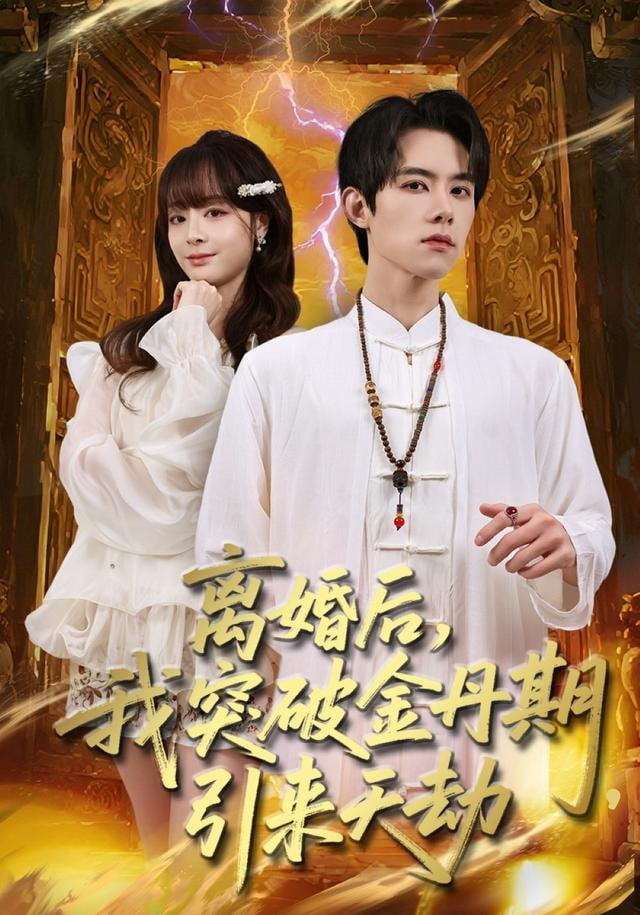 离婚后，我突破金丹期，引来天劫}