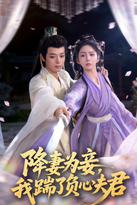 降妻为妾，我踹了负心夫君}