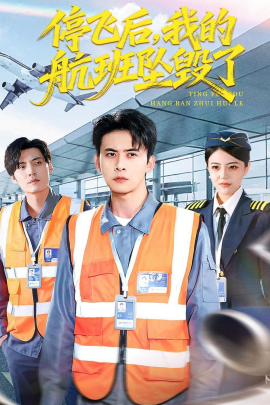 停飞后，我的航班坠毁了}