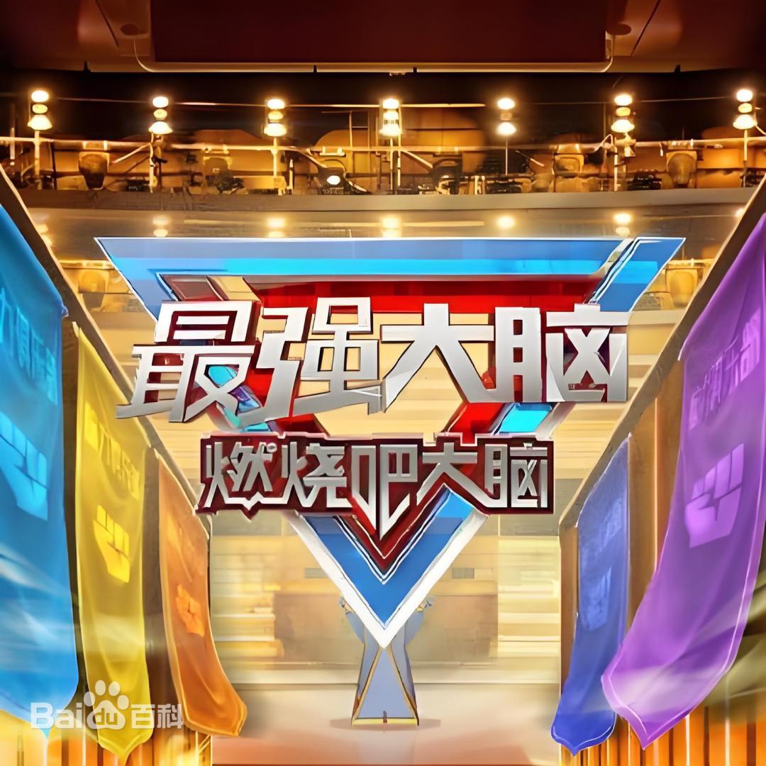 最强大脑 第十三季}