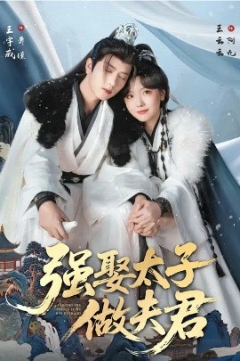 强娶太子做夫君}