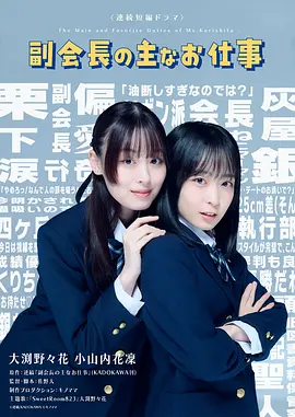 副会长的主要工作}