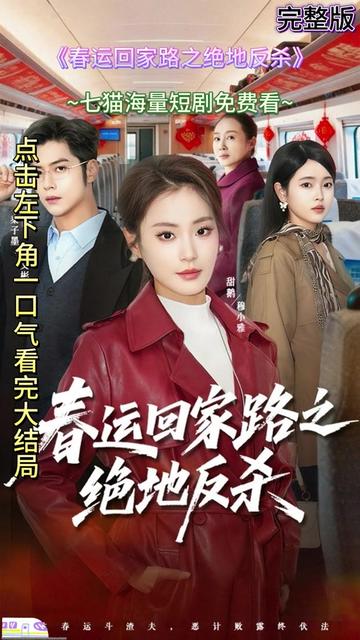 春运回家路之绝地反杀}