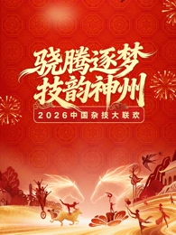 河南卫视2026中国杂技大联欢}