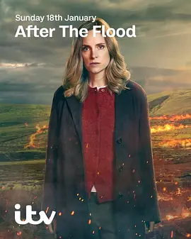 洪水之后第二季}