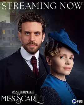 斯嘉丽小姐探案集第六季}