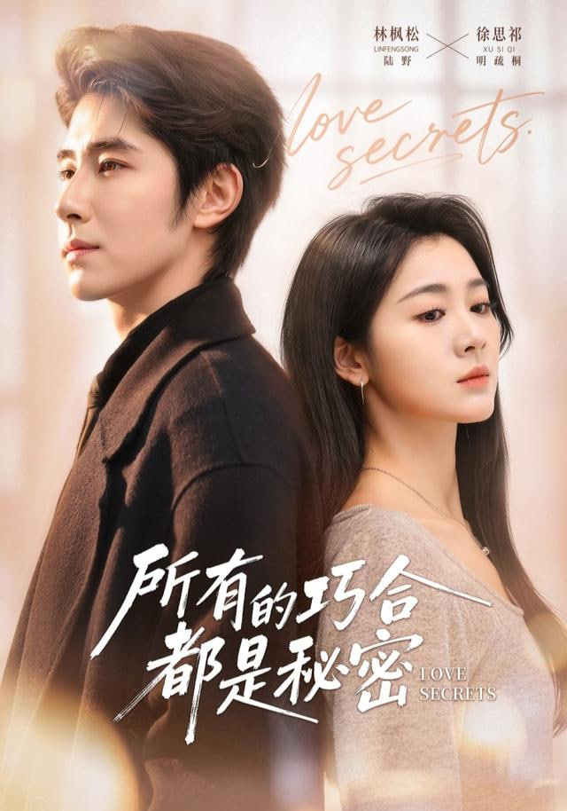 所有的巧合都是秘密（陆总夫人她只想离婚）}