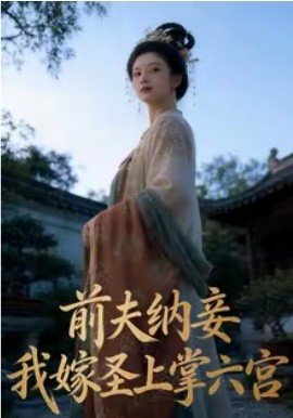 前夫纳妾，我嫁圣上掌六宫}