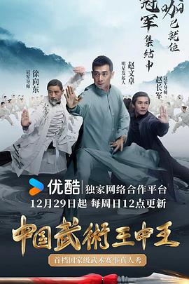 中国武术王中王}