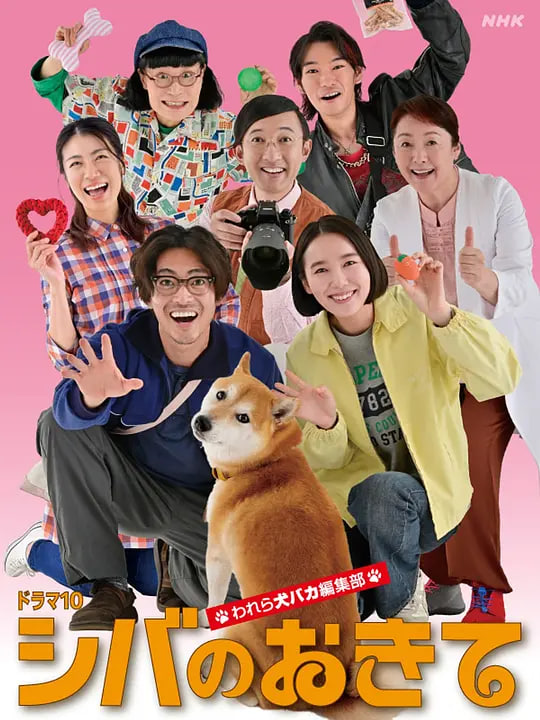 柴犬的规矩～我们这群狗痴编辑部}