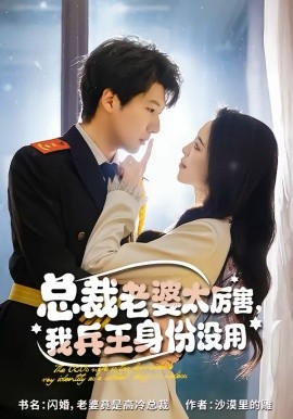总裁老婆太厉害，我兵王身份没用}