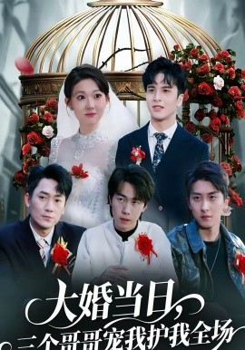 大婚当日，三个哥哥宠我护我全场}