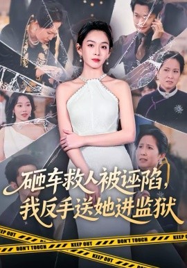 砸车救人被诬陷，我反手送她进监狱}