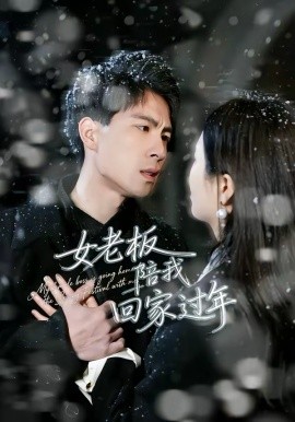 女老板陪我回家过年}