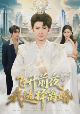 飞升前夜，我选择离婚}