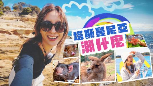 塔斯曼尼亞潮什麼}