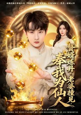 赘婿炼丹，老婆撞见，奉我为仙人}