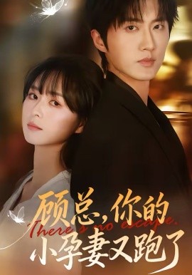 顾总，你的小孕妻又跑了}