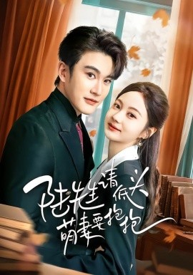 陆先生请低头萌妻要抱抱