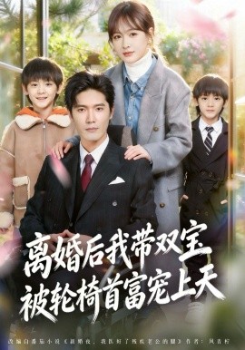 离婚后我带双宝被轮椅首富宠上天