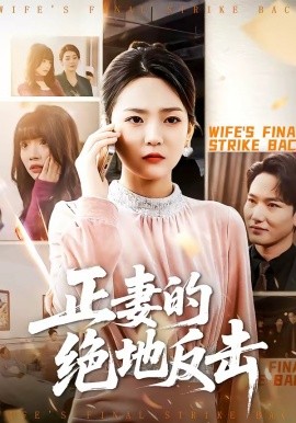 正妻的绝地反击